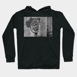 Lion head Hoodie